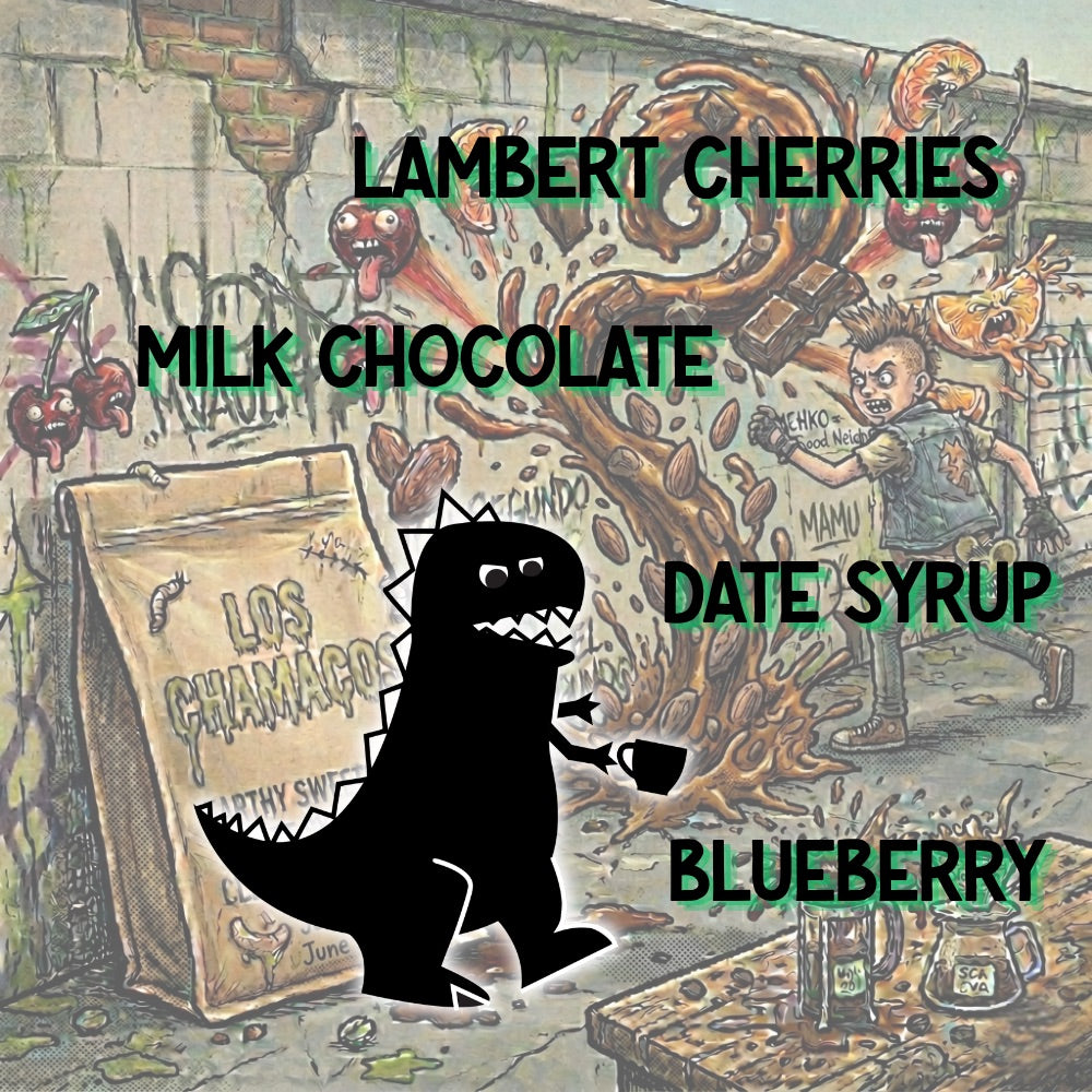 Mamu Coffee's Chamacos tasting notes artwork, featuring an illustration of a dinosaur with text about Lambert Cherries chocolate flavors.