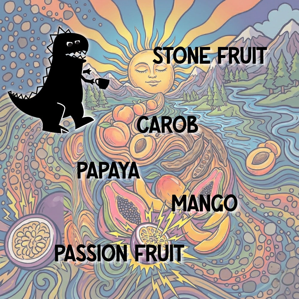 Mamu Coffee's Santo tasting notes artwork, featuring a colorful illustration with a dinosaur, fruits, and nature elements.